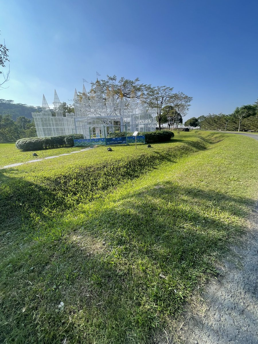 剛好發現🌻與🌞