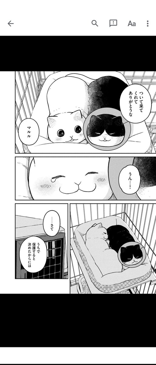 はあ　この漫画
好きすぎる
#マルルとハチ