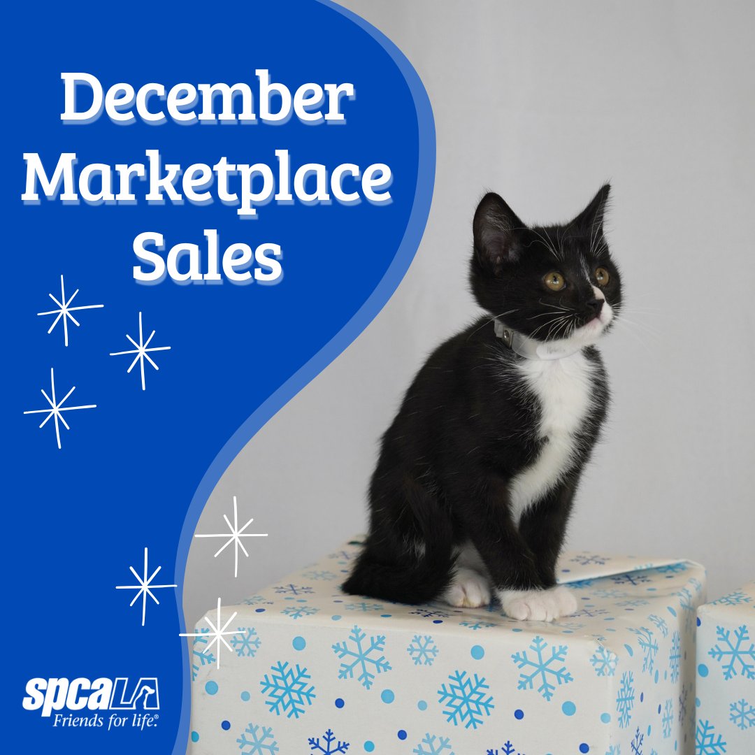 spcaLA's tweet photo. Shopping for your pets during the holidays is a wonderful way to show them how much you care.💙🐈‍⬛🐾 At the #spcaLA Marketplace, there are plenty of options to make your furry friends feel extra special. Throughout the month of December, you can enjoy amazing in-store deals! https://t.co/NWThEshdjd