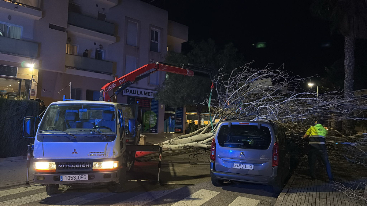 incaciutat's tweet photo. 🚛 Seguim treballant per resoldre tots els desperfectes ocasionats per la tempesta, molts dels quals ja s'han solucionat.💨

🙏🏾 També vos seguim demanant precaució davant les pròximes hores. Continuam en alerta.🟠

💭 Pots fer-nos arribar incidències telefonant al 📲 871 914 600. https://t.co/ayHhCeAWb6