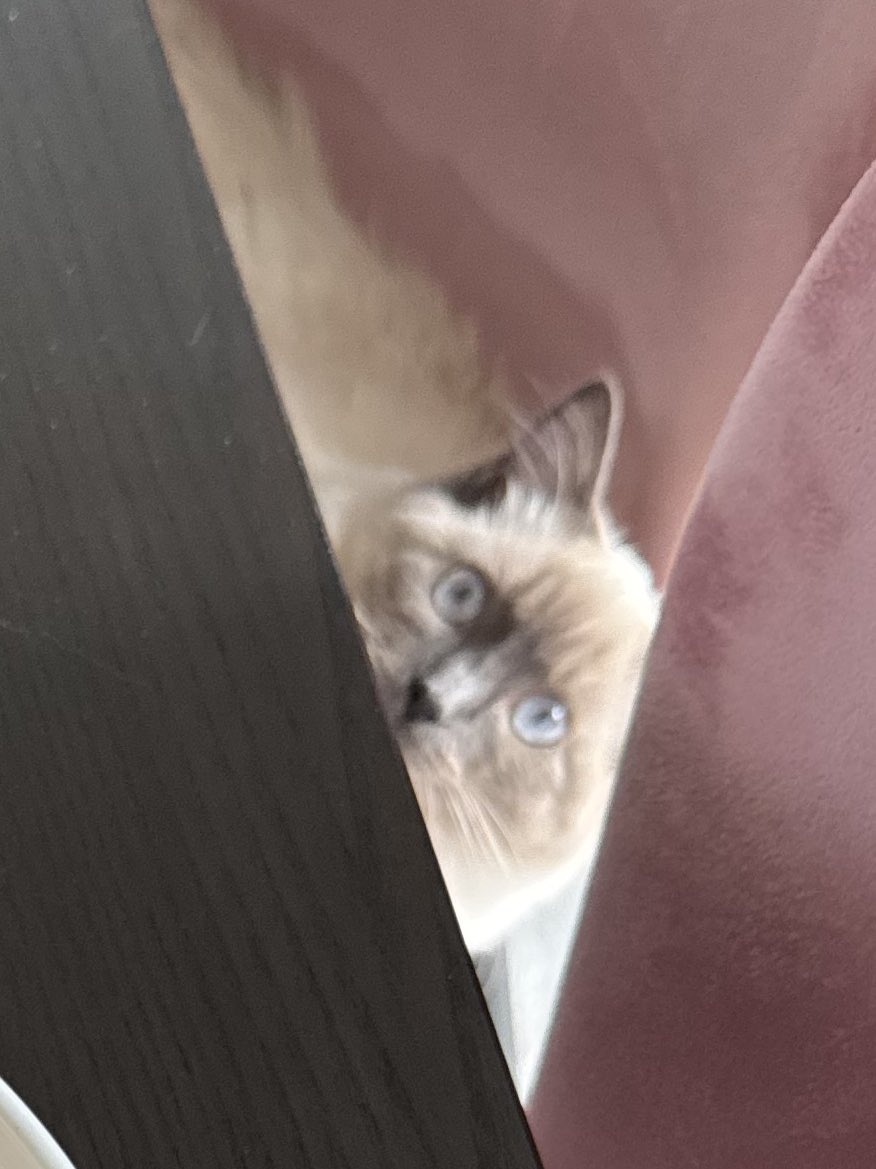 Chris Kyle tweet media