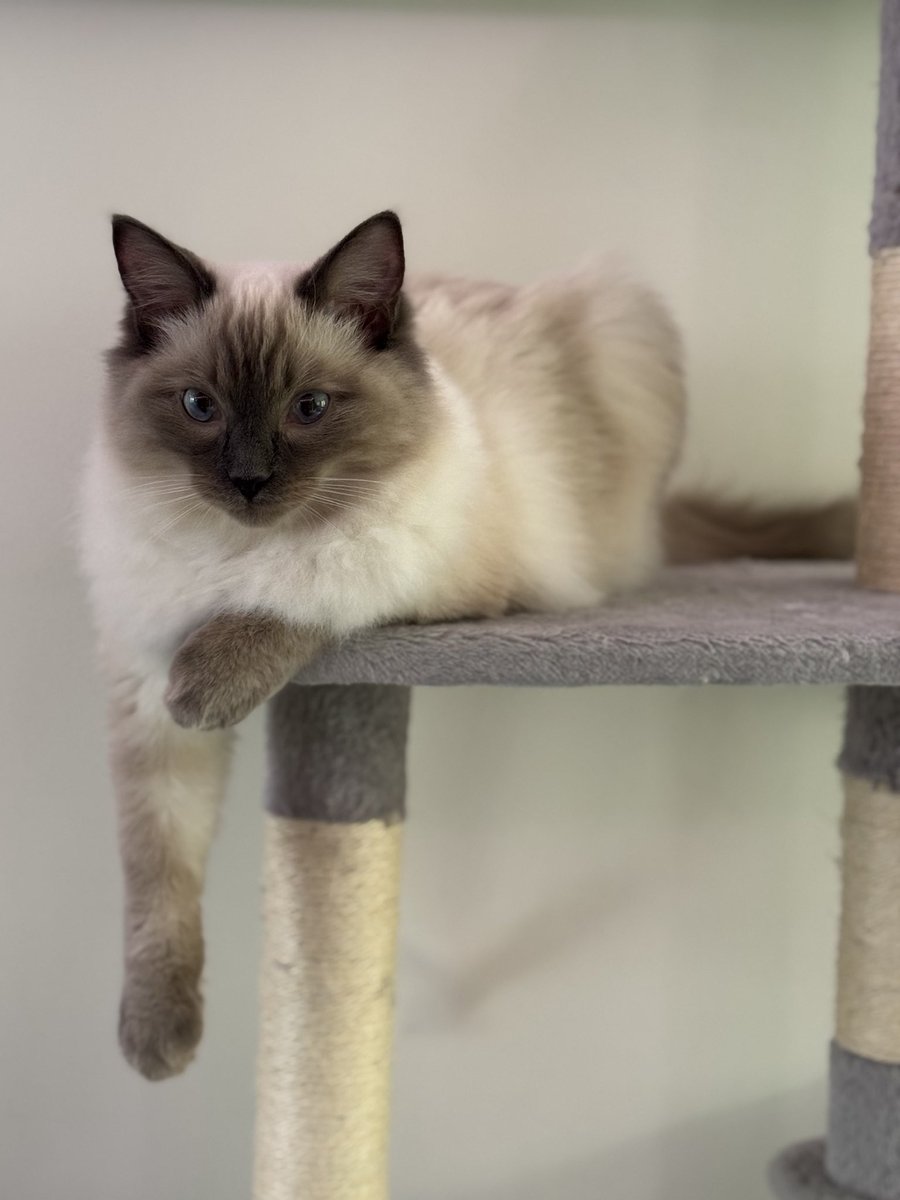 Chris Kyle tweet media