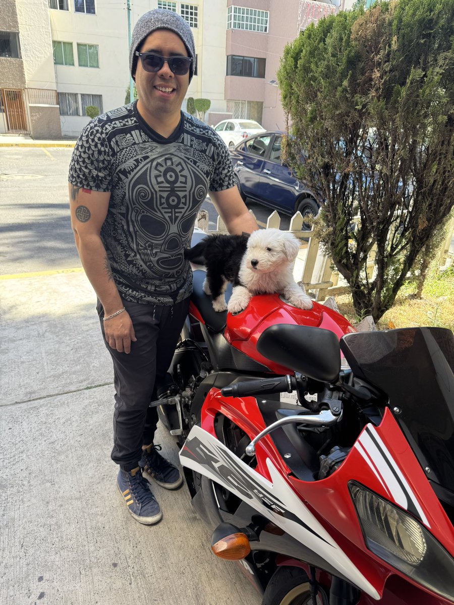 DeepRoche's tweet photo. ®️ #ROCKY TIENE BUENOS GUSTOS🐶🏍️ hoy #rodamos ®️ https://t.co/XiCoJaxRWf