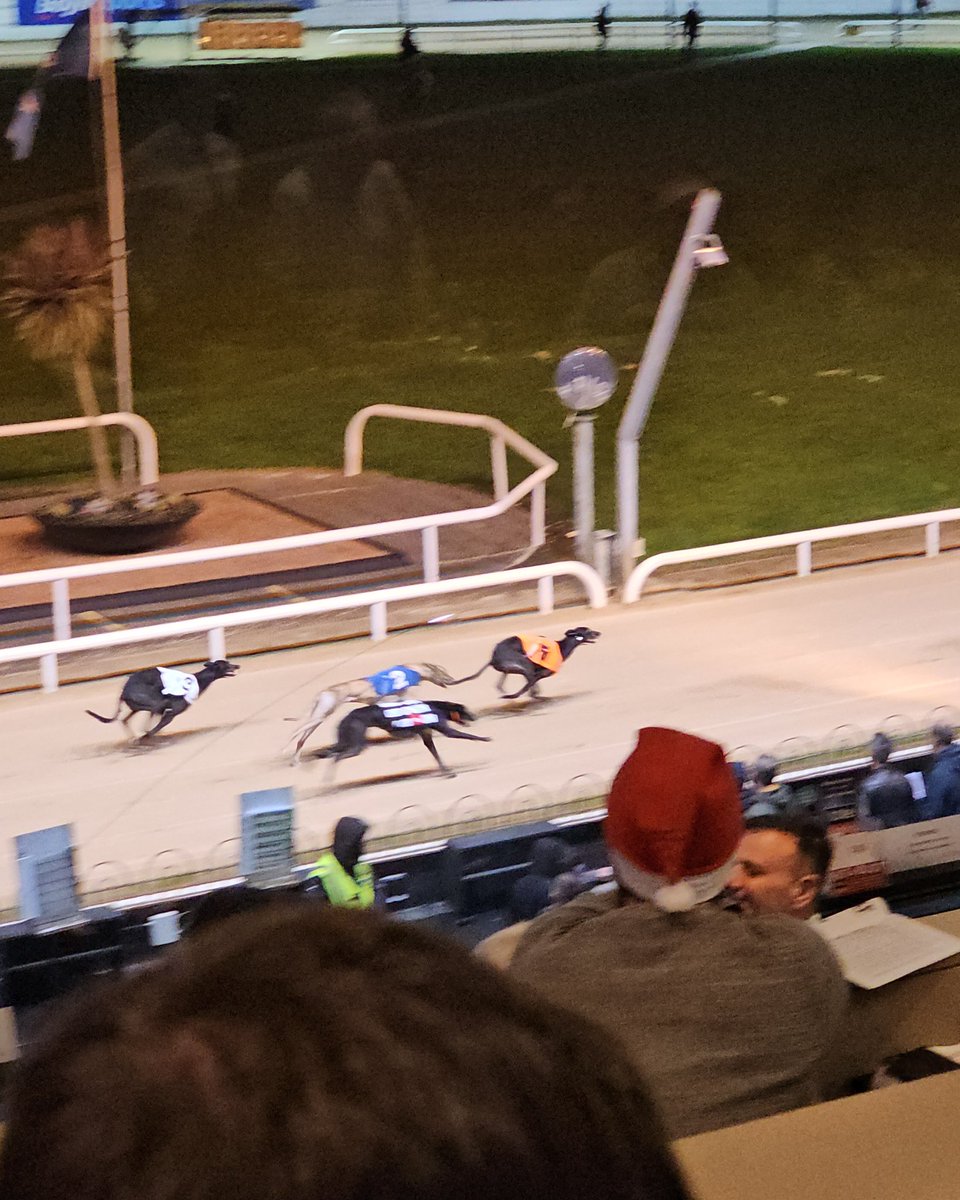 shelbournepark's tweet photo. 🐾 Race 5 Winter Racing Festival Championship 600

🏆 Untold Dollar for Graham Holland and Callum and John Purdy
A quick double for @RiversideKenne
⏱️ 32.22
💶 €10,000 1st prize 

#WinterRacingFestival #GoGreyhoundRacing #ThisRunsDeep https://t.co/HZpGJtNFBG
