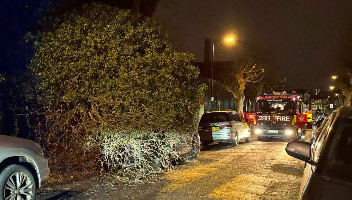 Firefighters from <a href="/LondonFire/">London Fire Brigade</a> are currently dealing with a tree which has fallen onto a car in Leadale Road, south Tottenham. <a href="/HaringeyLFB/">London Fire Haringey</a> <a href="/LFBIslington/">LFB Islington</a>