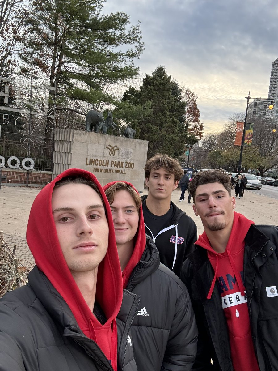 Dominic Minghine tweet media