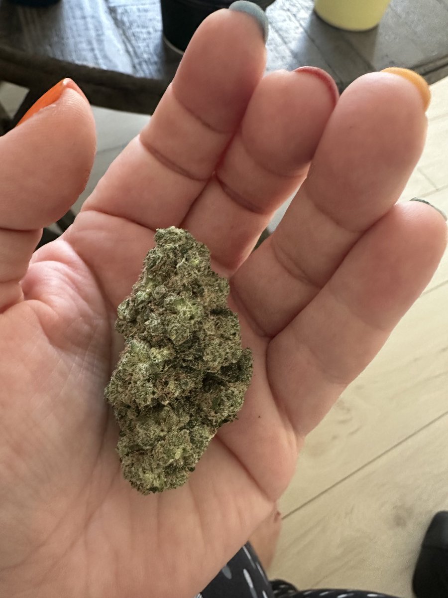 Shelley_Knight1's tweet photo. Off to the country with my best friend. Mary Jane. #StonerFam #Nature #Peace #nolightpollution ✌️💛🔥 https://t.co/YcTnq2CtRu