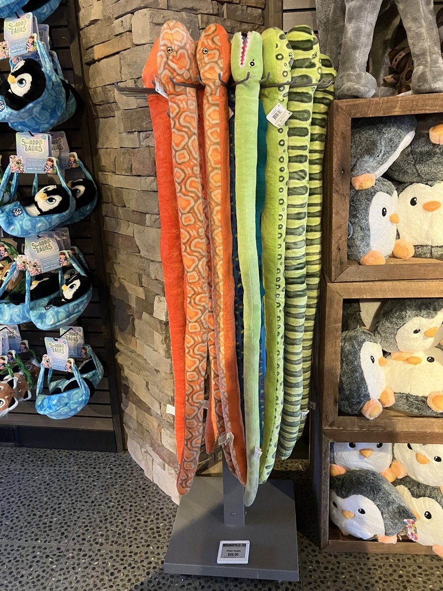 DBoyFajardo's tweet photo. Snake rack with a special guest eel at the Indianapolis Zoo 
@JennyENicholson https://t.co/d1So0vXg5t