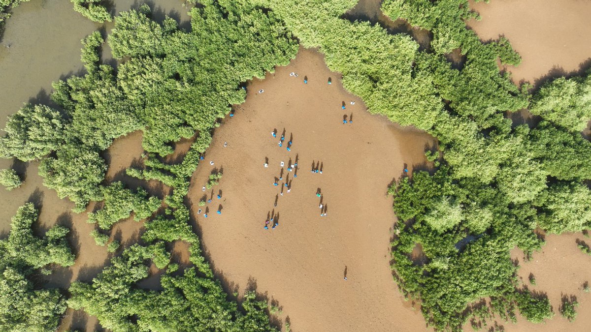 A successful #IVD2024 with youths and partners at the Tanbi Wetlands! Special appreciation to all of you for your commitment to safeguarding &amp; #restoring our #ecosystems! 
<a href="/UNDP_TheGambia/">UNDP The Gambia</a> <a href="/UNVolunteers/">UN Volunteers</a> <a href="/Meccnar_Gambia/">Ministry of Environment Climate ChangeNR (MECCNAR)</a> <a href="/AYLHGAMBIA/">African Youth Leadership Hub Gambia🇬🇲</a> @volnetgambia 
<a href="/CorpsafricaGam/">CorpsAfrica/Gambia</a>