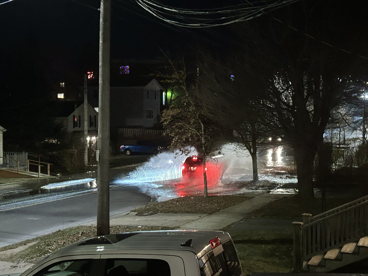 Allison Covert tweet media