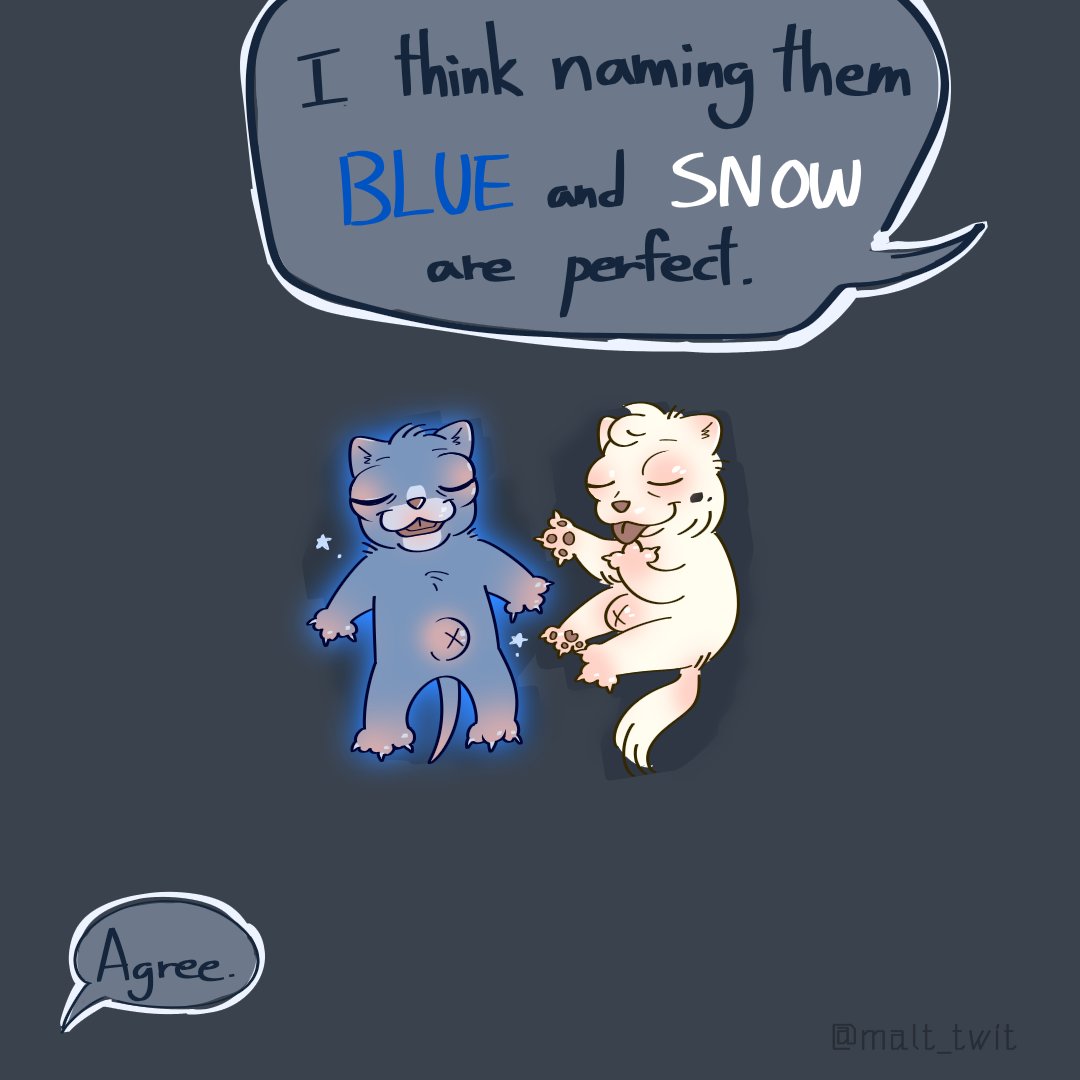 Bluestar and Snowfur's names were decided the moment they were born, especially the BLUE one