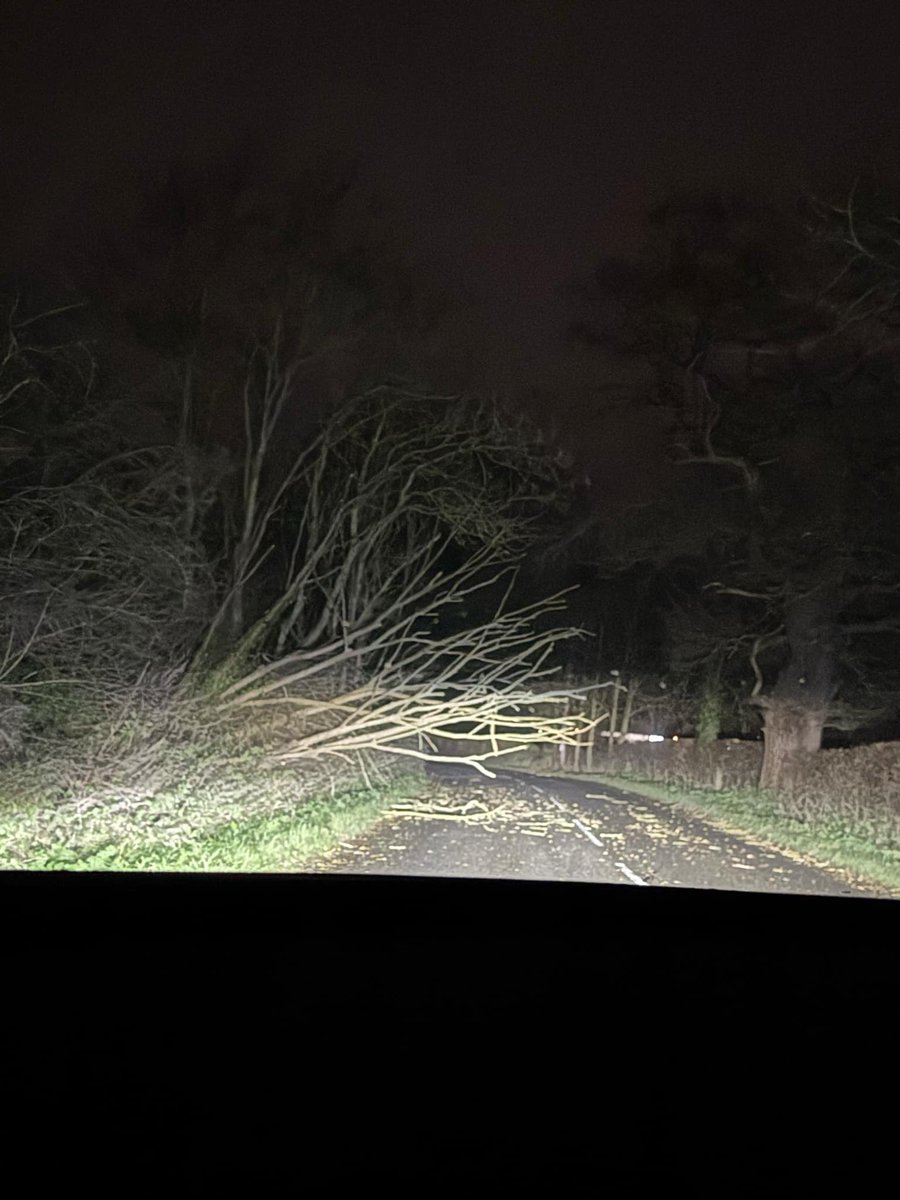 AngelTR4's tweet photo. URGENT. Tree fallen across Syston Road (near bend) Between Cossington &amp; Rothley (close to the junction with Main Street). One side of road completely blocked. DANGEROUS @HighwaysEMIDS @ATCLeicester https://t.co/Wpin4FbF8z