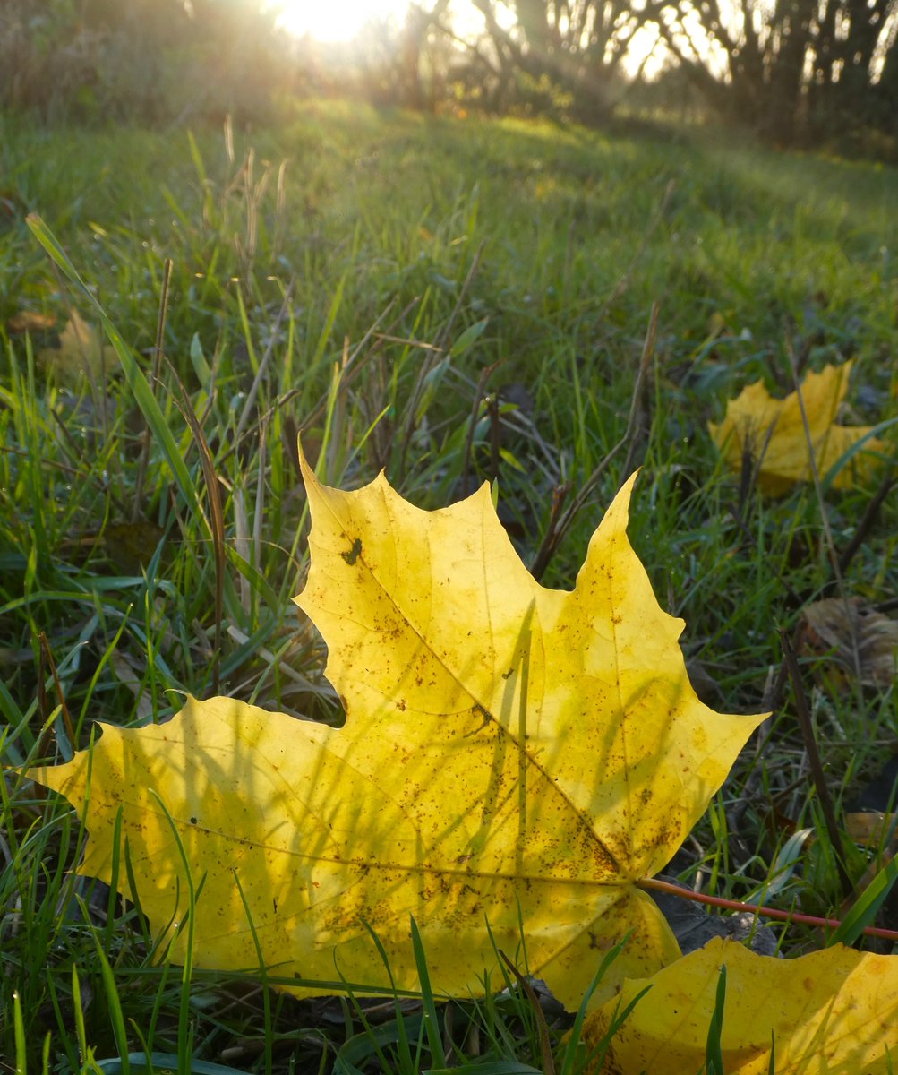 Early morning light💛
#SundayYellow