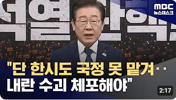 탄핵 NO !   체포 YES!