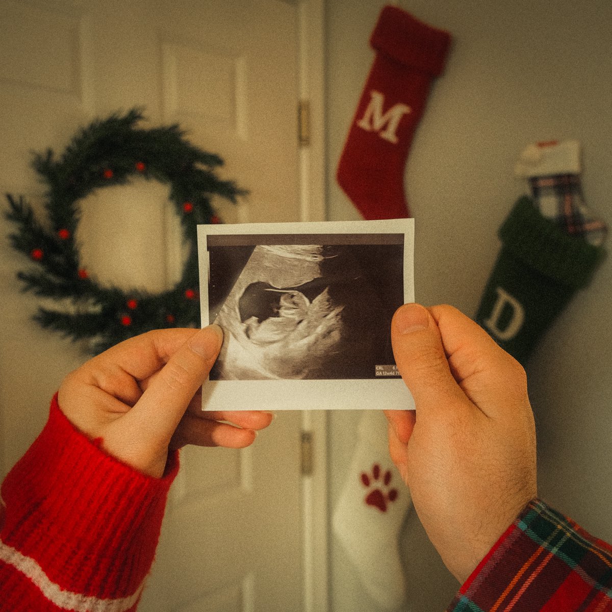 Matthew Gaydos tweet media