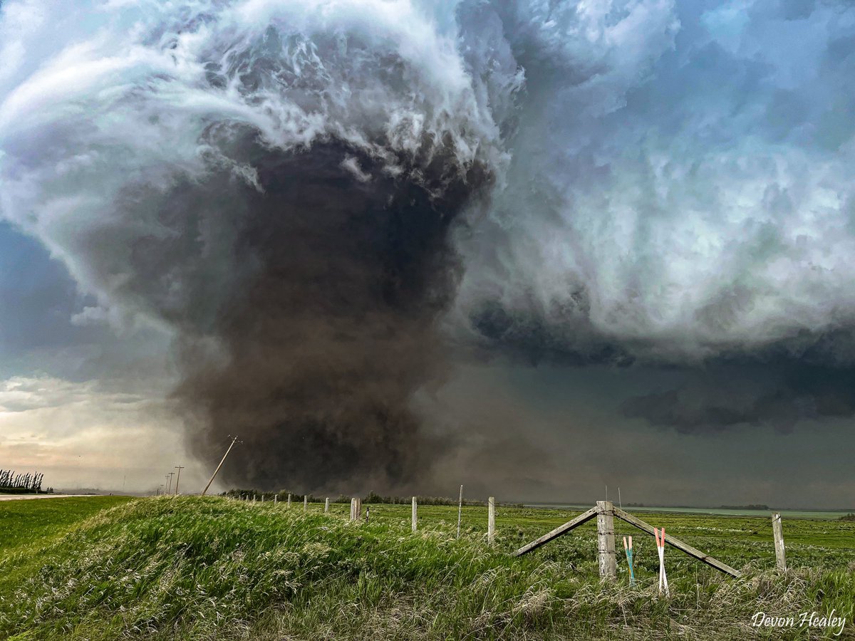 Devon Healey tweet media