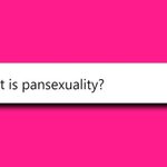 Photo by pan with a plan 💙 (@PansexualityOrg)