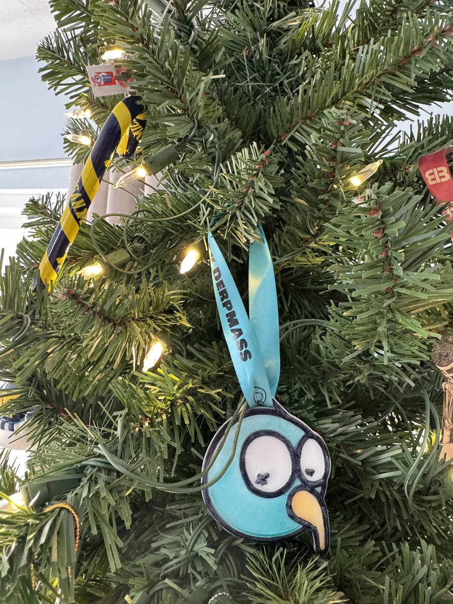 techgent6's tweet photo. Merry #Derpmas @TheDerpBirds! https://t.co/4xazNOgPhf