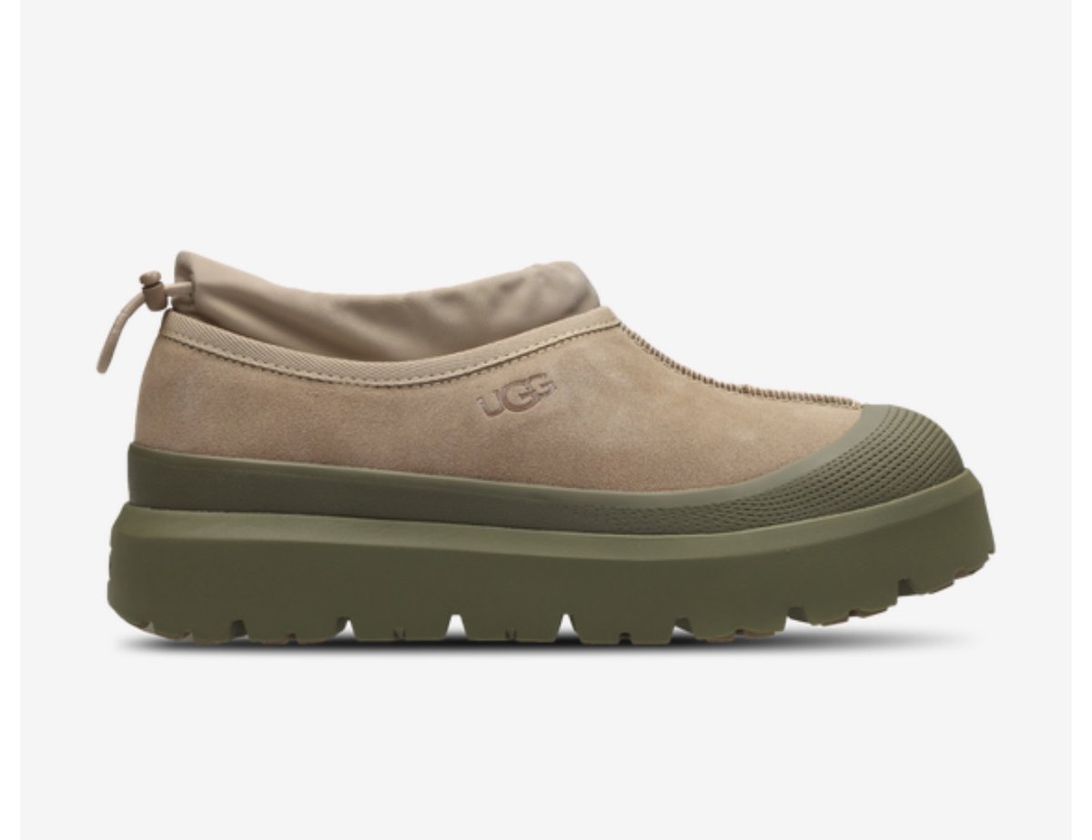 Lewis Allwood tweet media