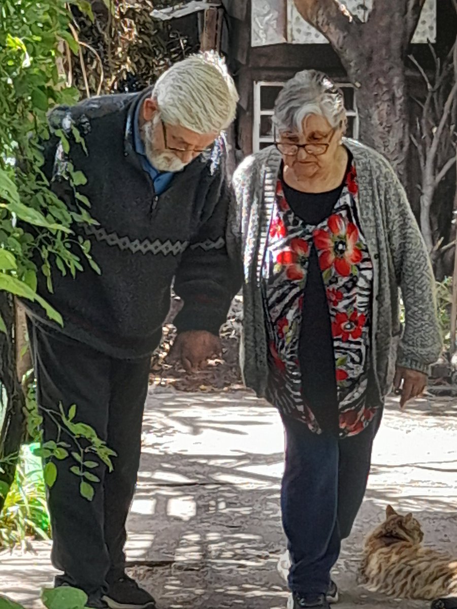 renuneza's tweet photo. Soy como soy gracias a ellos , sus enseñanzas , su amor , su respeto,  su alegría,  ellos me enseñaron que el amor existe , que cuando hay respeto y comunicación,  todo se supera , que la alegría no basta en lo material , solo basta tenerse uno al otro , https://t.co/zgLQDAd8Px