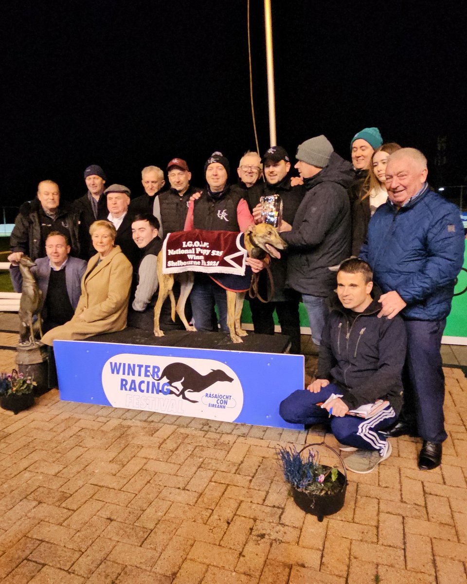 shelbournepark's tweet photo. 🏆 Untold Rufiyaa, winner of the 2024 IGOBF National Puppy 525 Final

What an incredible winner and a fantastic win for trainer David Byrne and lucky owners Calum and John Purdy

⏱️ 28.29
💶 €12,500 1st Prize 

#WinterRacingFestival #GoGreyhoundRacing #ThisRunsDeep https://t.co/ljRdtLXtrg