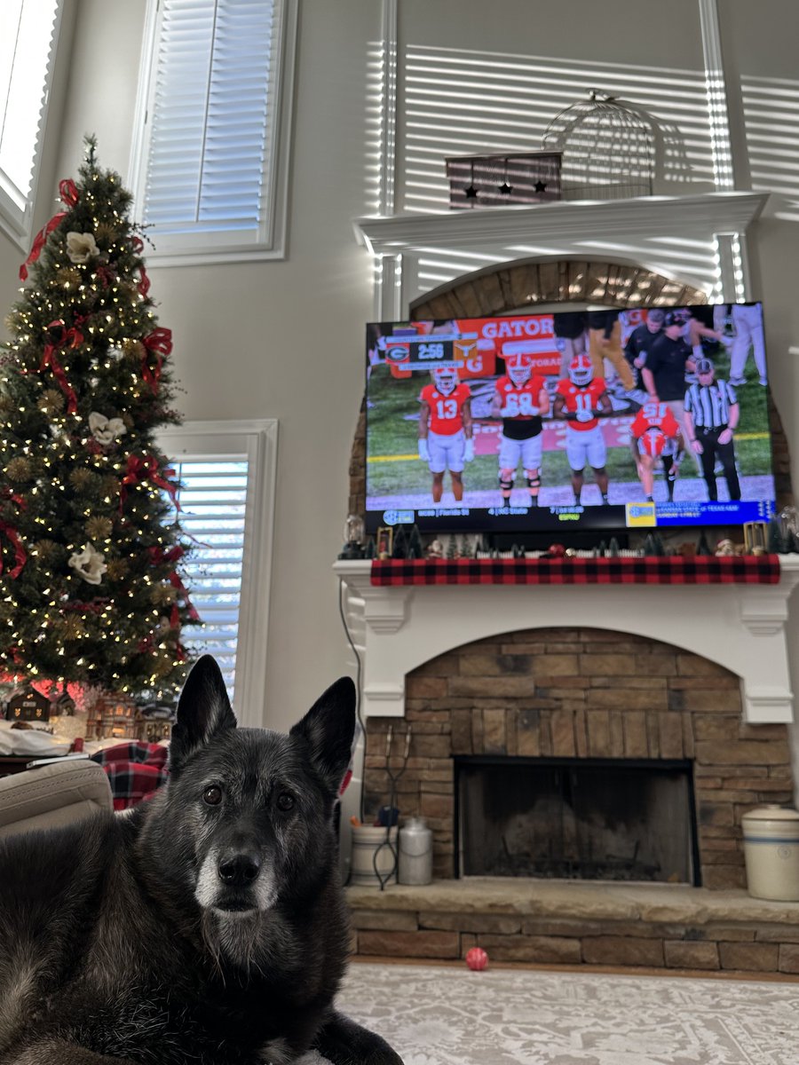 SEC Championship day!

#GoDawgs