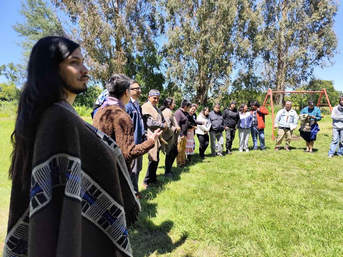 AcademiaMapuche's tweet photo. 🌿 Chaltumay pu kimelfe ka pu chillkatufe cierre #koneltun en Victoria #LaAraucanía @AcademiaMapuche @mapuzuguletuain  @CONADI_Gob https://t.co/rfXxxgxdN9
