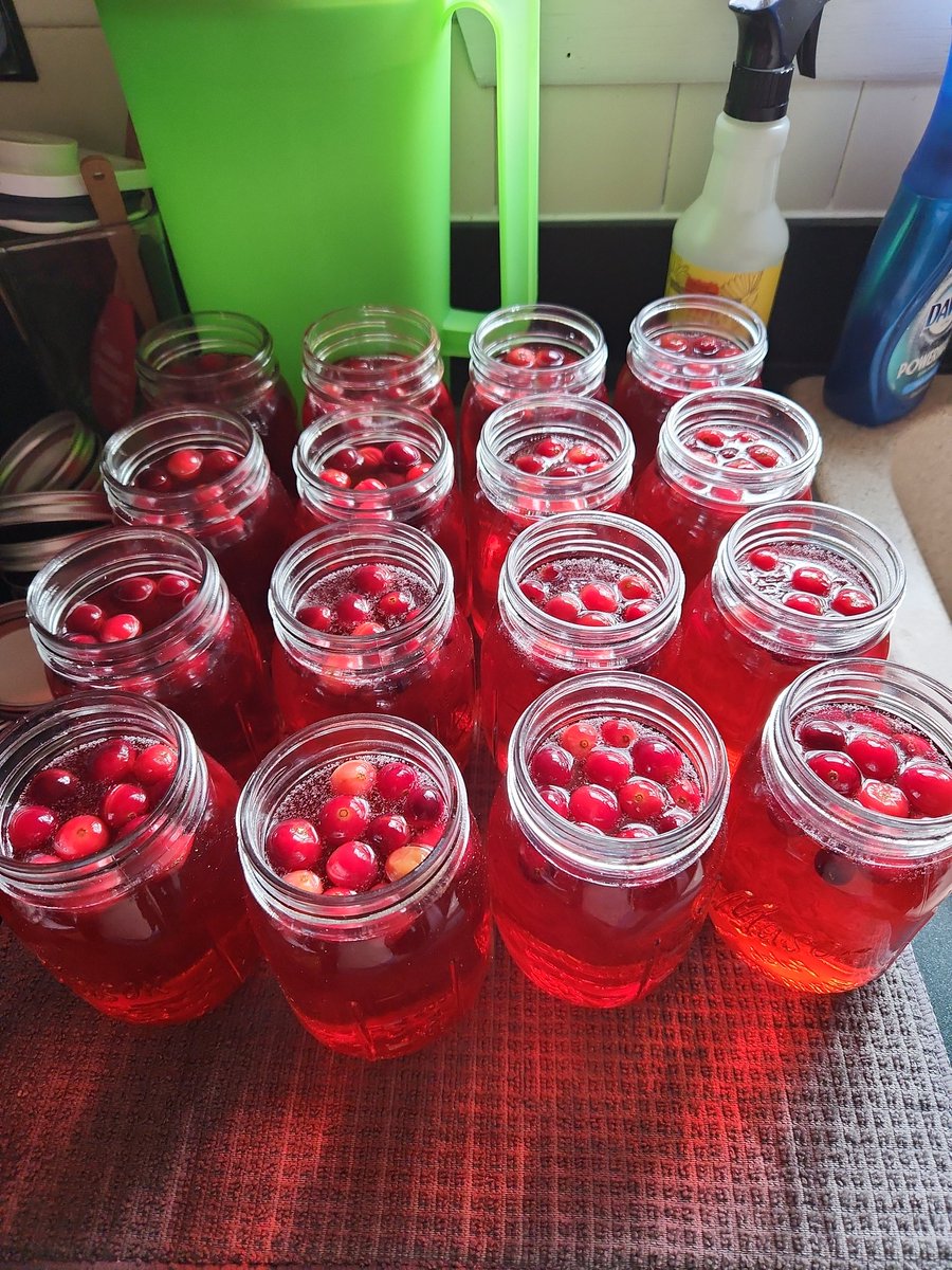 bigmattdaddy13's tweet photo. Made some homemade Christmas cheer (cranberry moonshine) and about to have jar with a blueprint cigar from the boys at #burndownpodcast! #thedappercigar if you guys ever hit Michigan I'll have to get you a few jars! https://t.co/ToobBTiZ2B