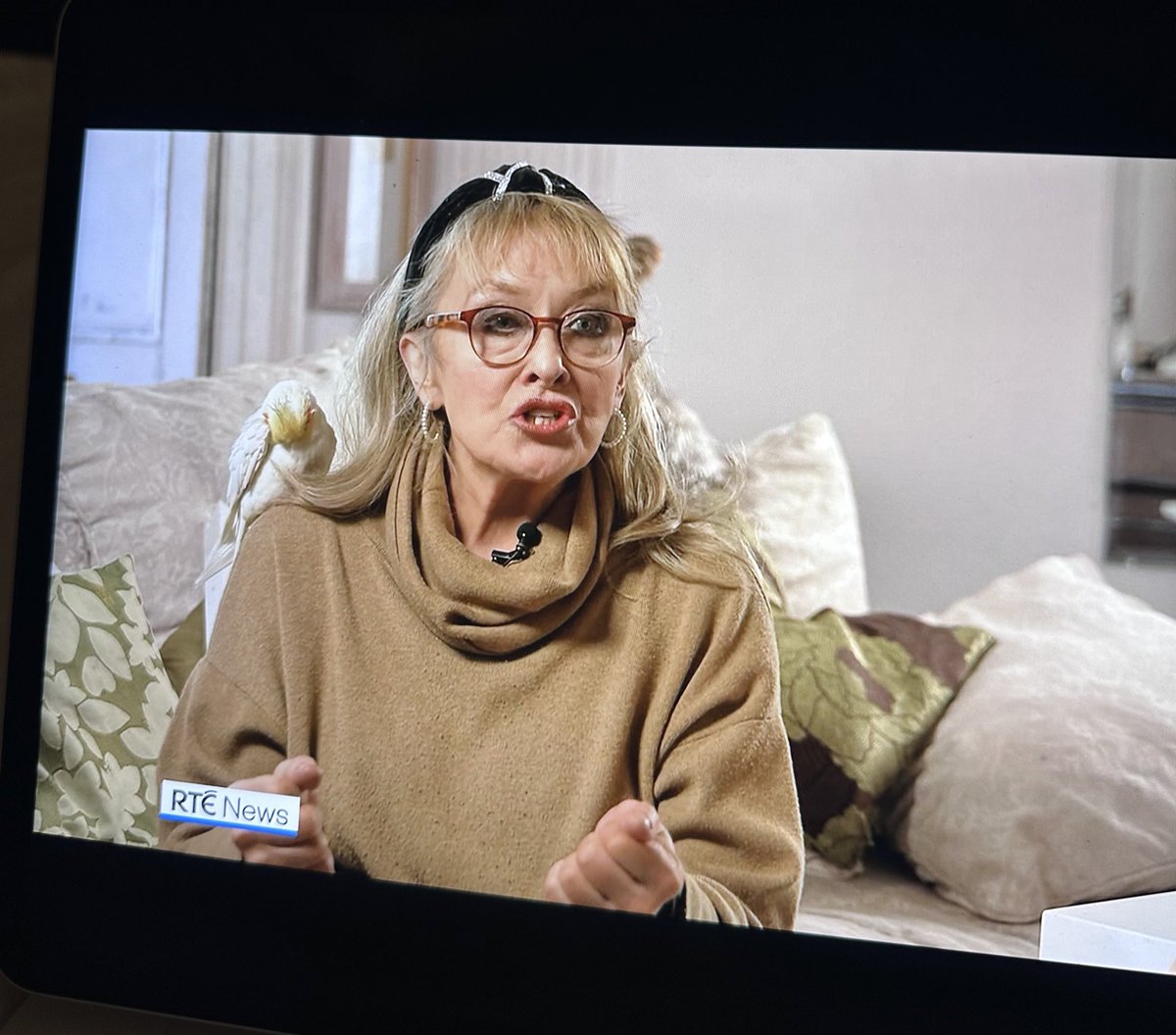 thefinnmooney's tweet image. Nothing to see here , this is completely normal … rocking up for an RTE interview on the nine with a bird on your shoulder .. #rteone #rte #dickierock
