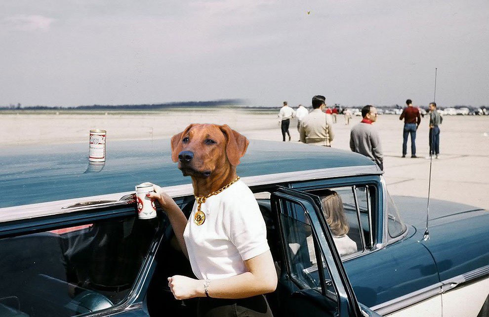 Life is better with friends…

And so is Crypto. 

Now is the perfect time to onboard them to Runes.