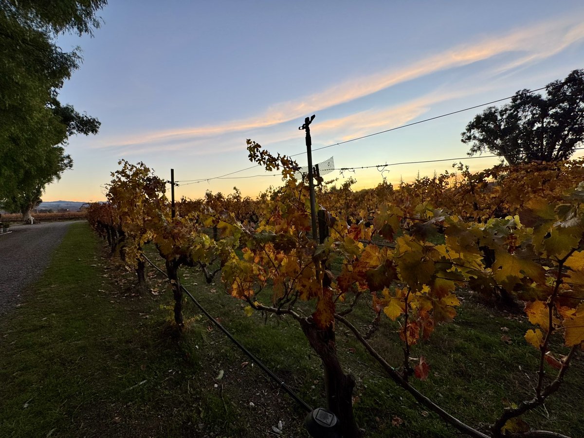 Bay Area Winery meetup was delightful! And this is not the last one of the year! More meetups coming up before the holidays 🧬✨