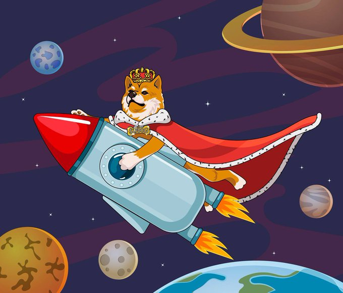 cryptotomtom's tweet photo. @gate_io $LFDOG https://t.co/yrBOoEYqhs