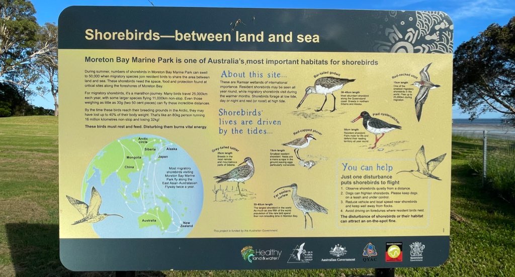 BronFredericks's tweet photo. We’re in for another beautiful day in #Goompi, #Minjerribah, #Quandamooka. https://t.co/19S3xarGqr