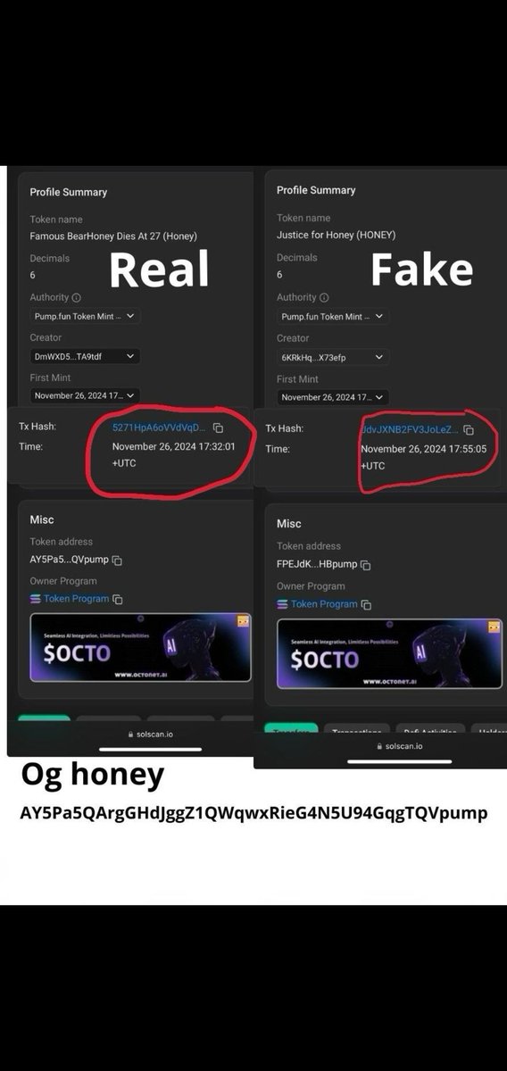 AY5Pa5QArgGHdJggZ1QWqwxRieG4N5U94GqgTQVpump