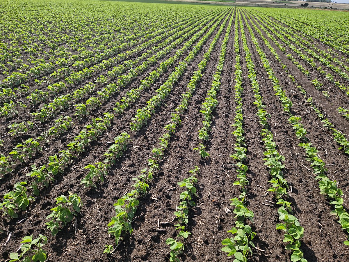 Seba Purtscher tweet media