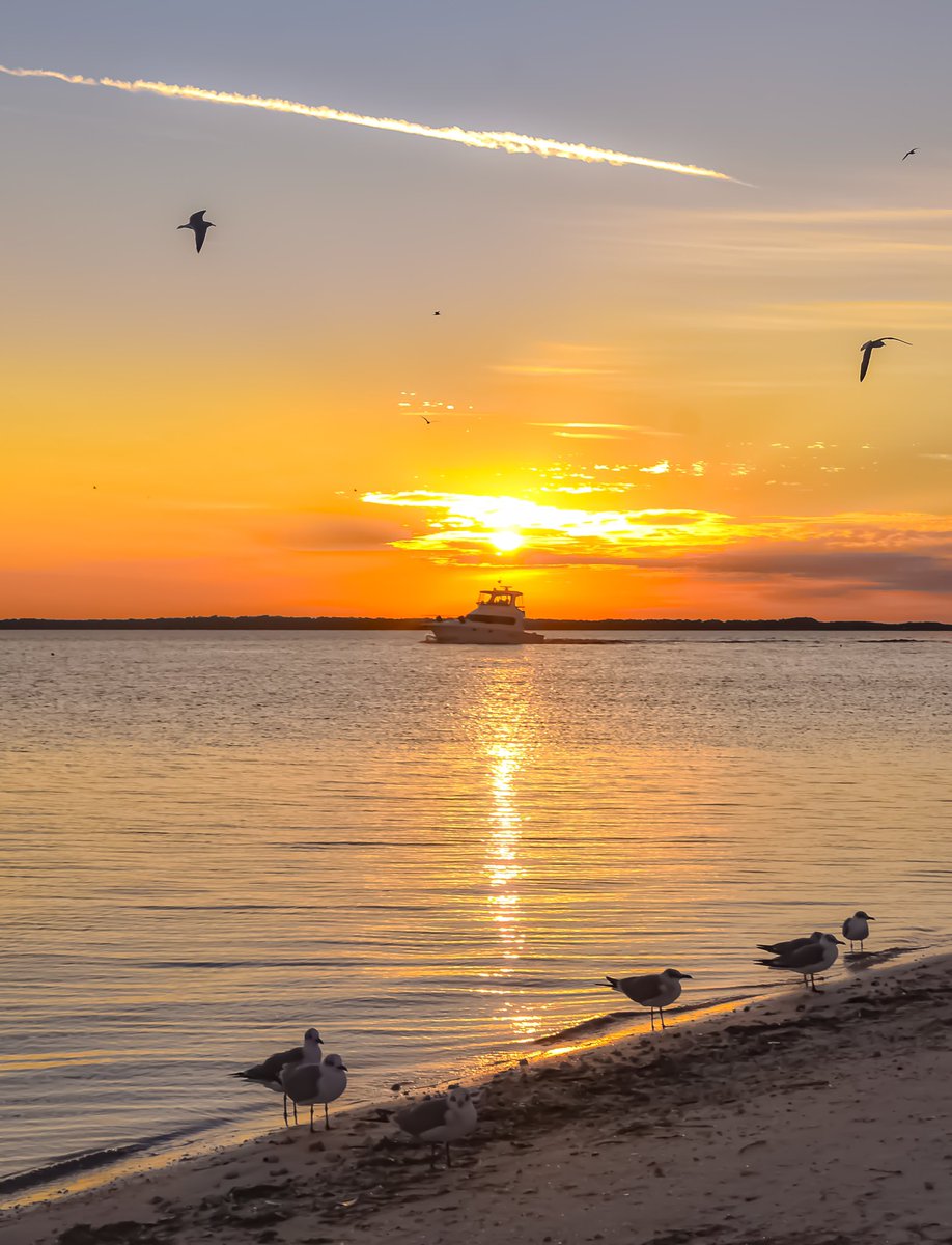 FloridianCreat1's tweet photo. Floridian Sunset Time ✌🏼🌞✌🏼 https://t.co/cjpK0JkTo6