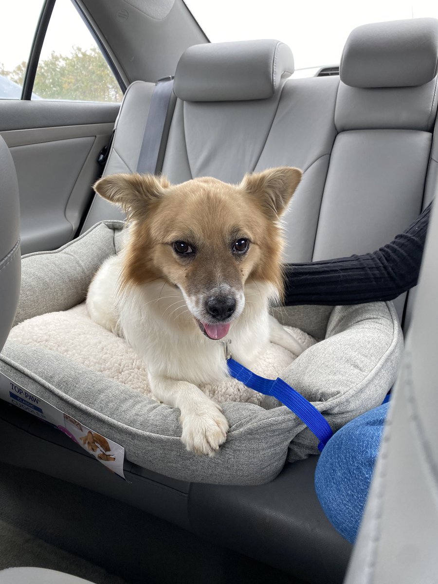 Andrew Lewis tweet media