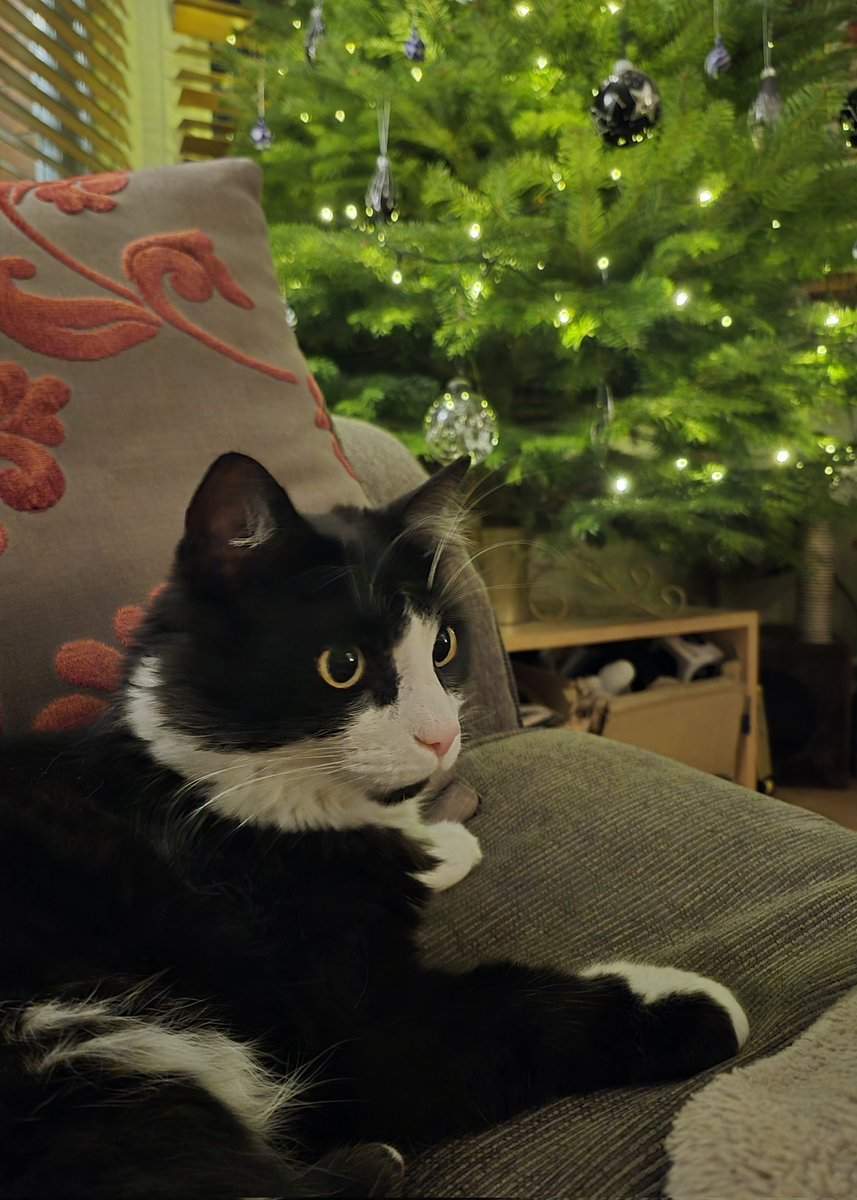 David K Smith tweet media