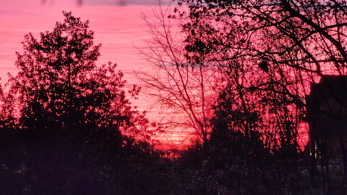 RobbieMartin3's tweet photo. @capitalweather sunset in Germantown https://t.co/ghxLo7CHjI