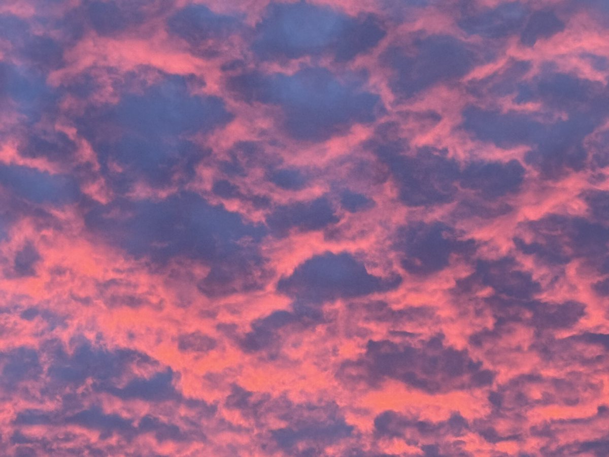 guthrienutter's tweet photo. Winter sunsets just hit different. 12.7.2024 at Capitol Hill East, 5:00pm ET. @capitalweather #dcwx #firesunset https://t.co/ZX4HqD6bmW