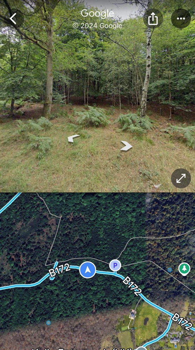 Chapona Bike tweet media