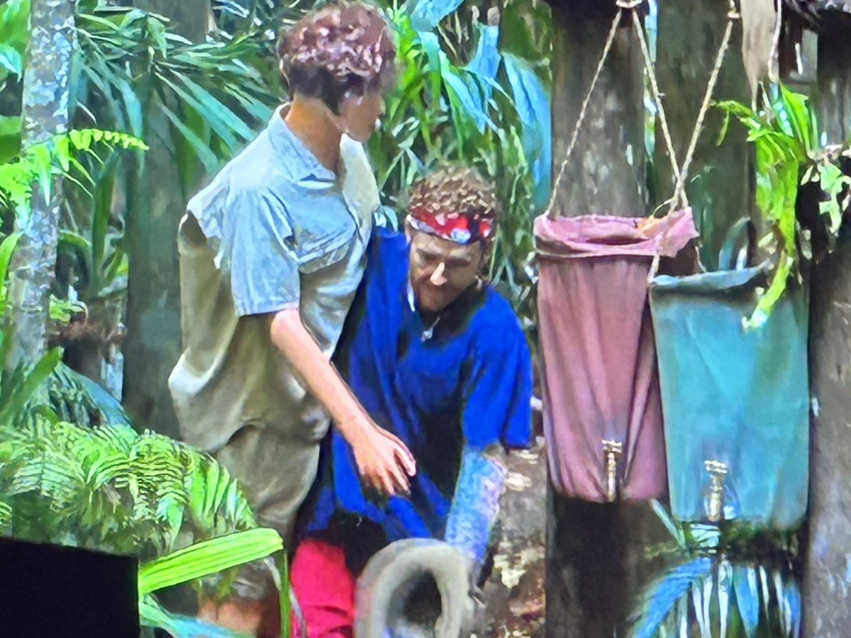 hannahhpem's tweet photo. No cause why is Danny hiding harry styles on. #ImACeleb https://t.co/NpfI1q4OFz