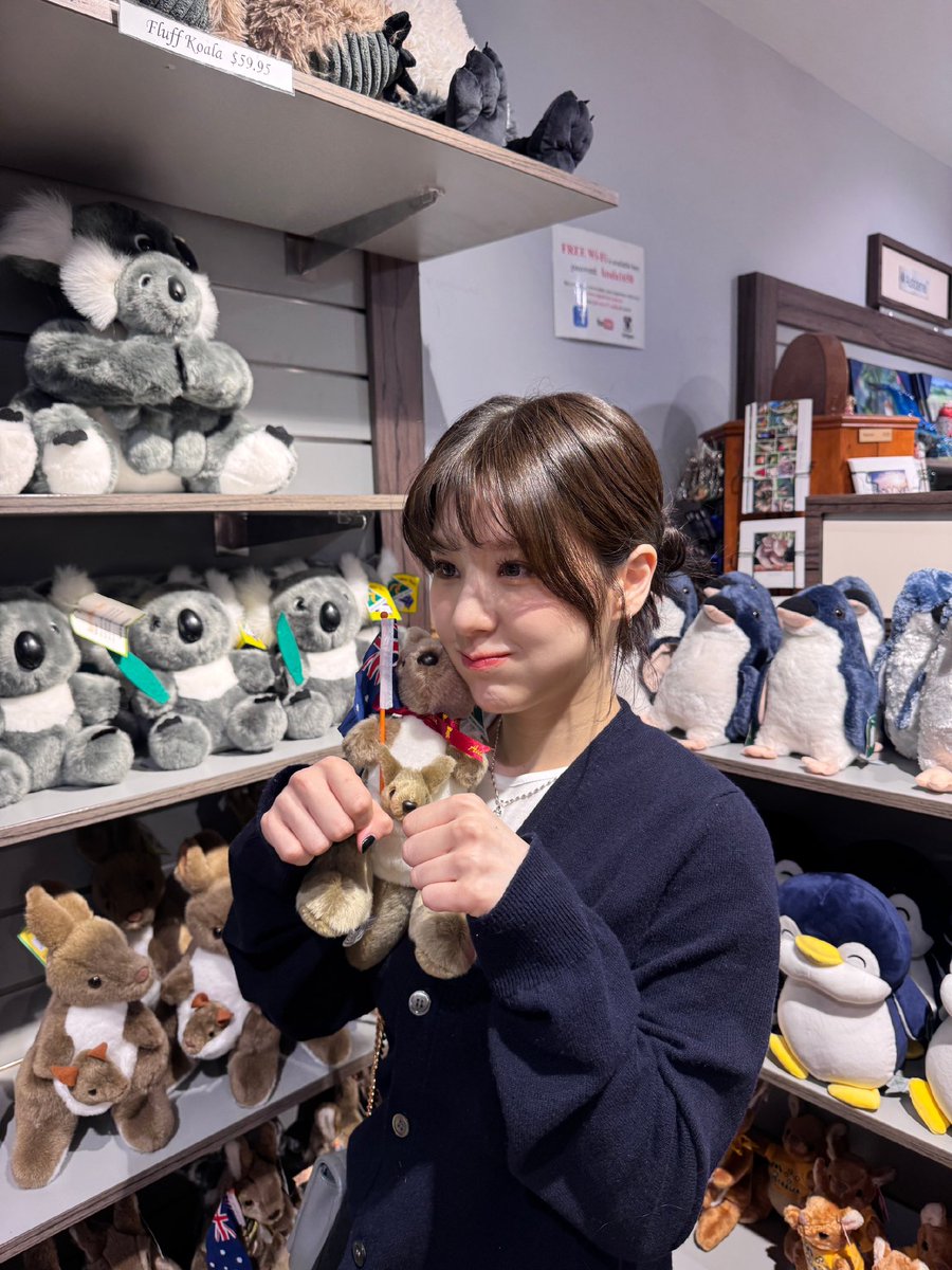 비둘기를 무서워하는 작은 강아지 💧💧