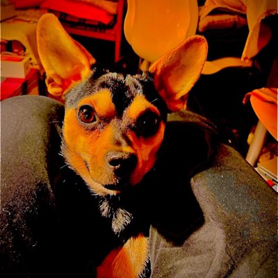 #NeuesProfilbild