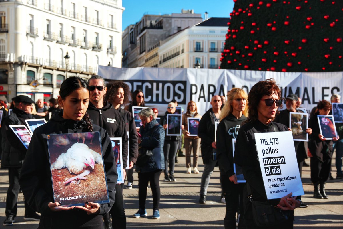 FuenlaAntitaur's tweet photo. Nos sumamos al grito silencioso por el día internacional de los derechos de los animales con @igualdadanimal.
Porque los animales de granja sufren y se merecen una vida digna. 
#noalmaltratoanimal 
#animalesvivos 
#animalesvivosylibres 
#noalespecismo https://t.co/YZCmnptWoP