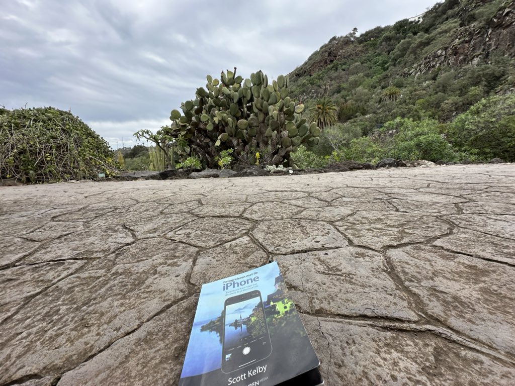 100procent010's tweet photo. De prachtige botanische tuin bij Las Palmas is de perfecte plek om dit boek te lezen en de tips uit te proberen! https://t.co/p7GwdeEaUa