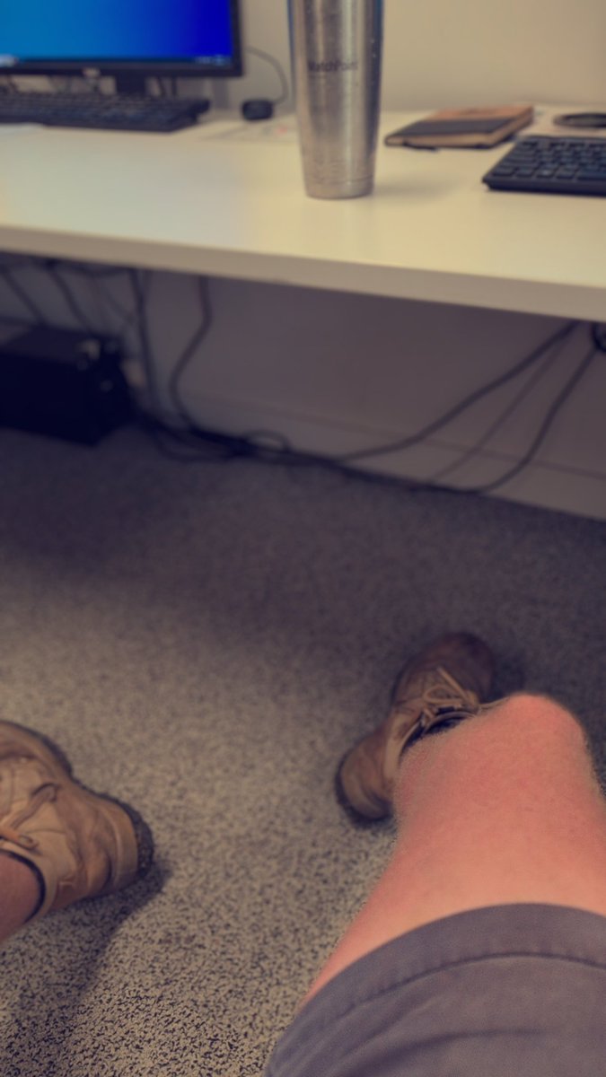 Stuck at work on my own, who wants to get under the desk and keep me company?