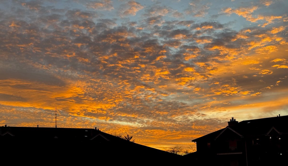Sunset 11.7.24