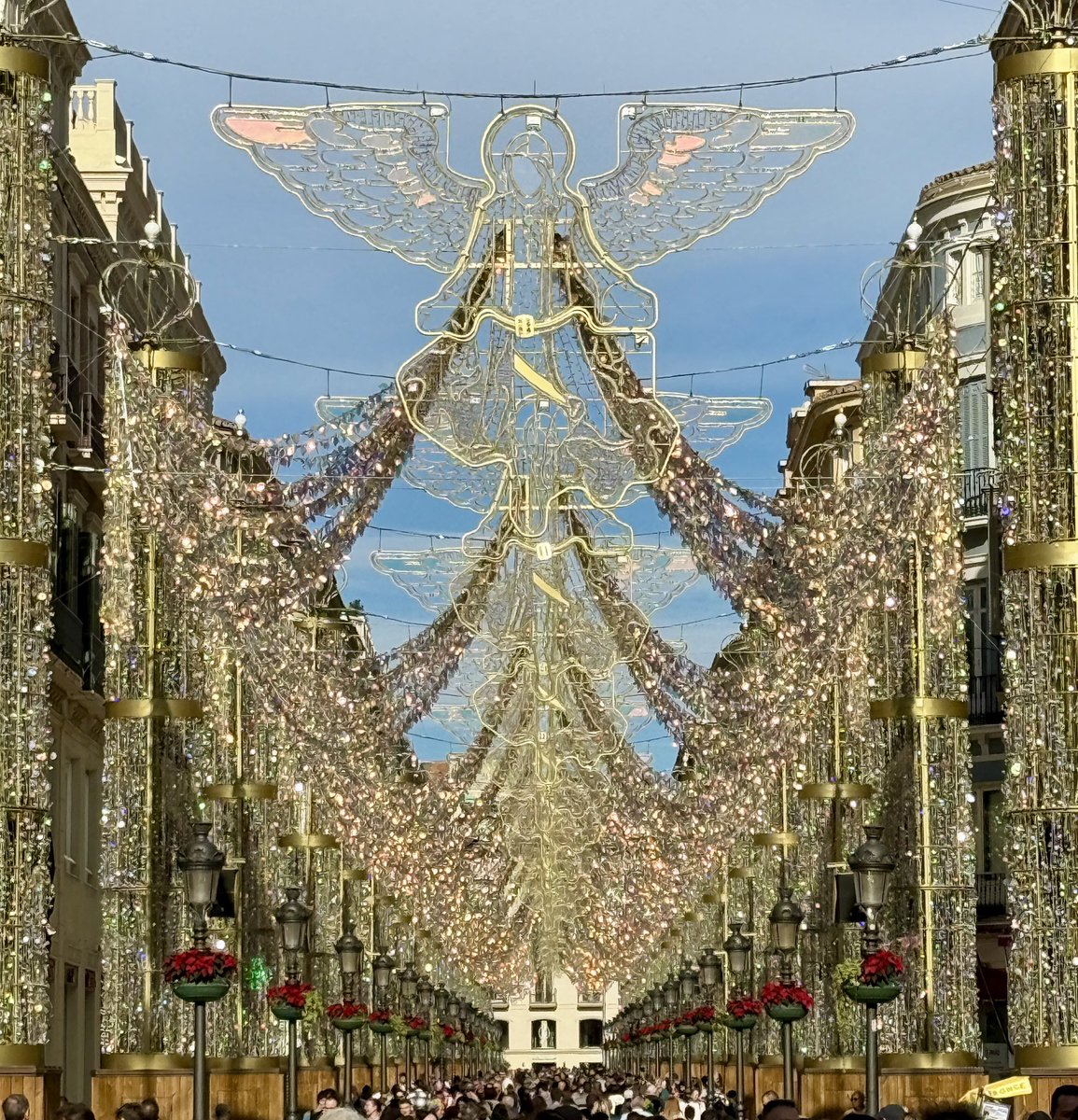 Wodelander's tweet photo. the #christmas #lights in #malaga #andalucia #spain look as good in the daytime #sunshine as they do in the #evening #bravo https://t.co/Uo4X1HQ3ki