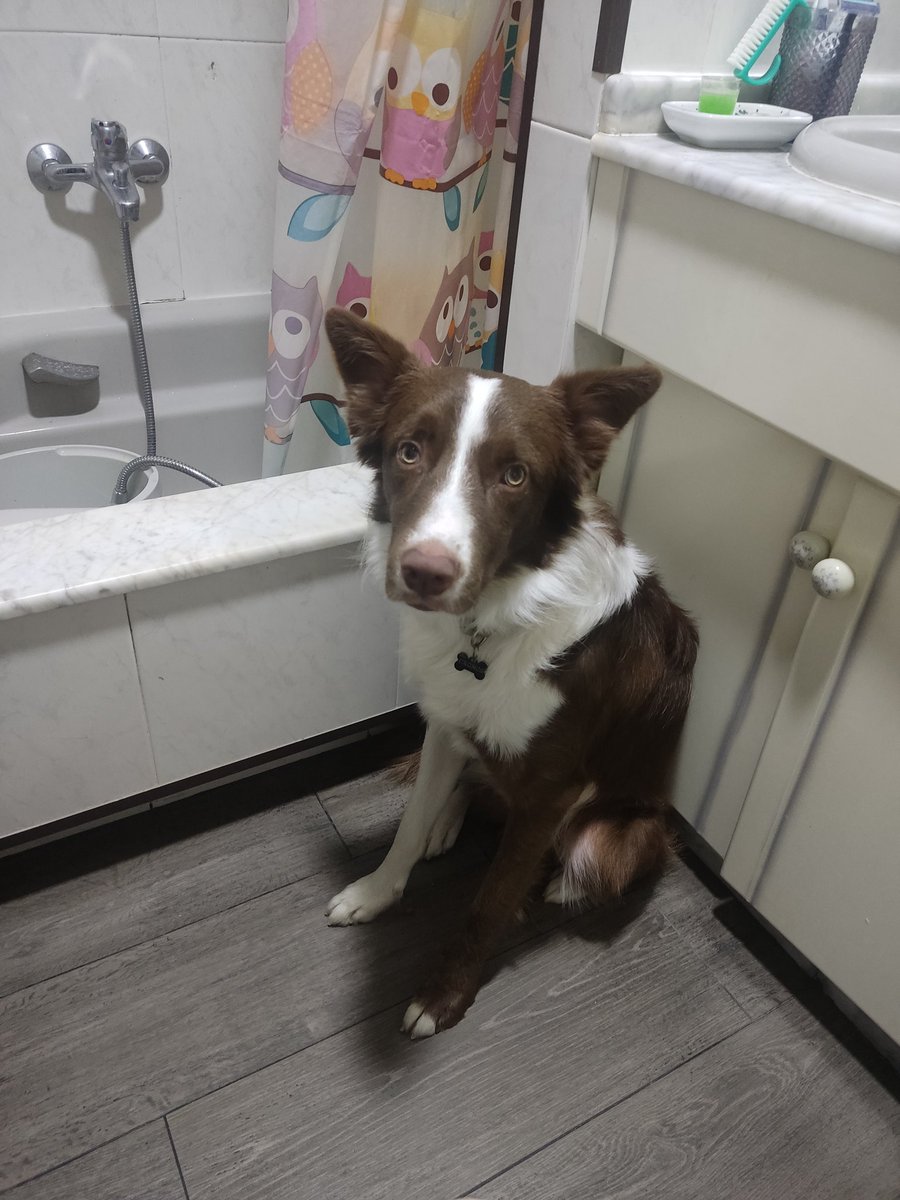 Lo de no poder ni ir al baño solo que coño es.